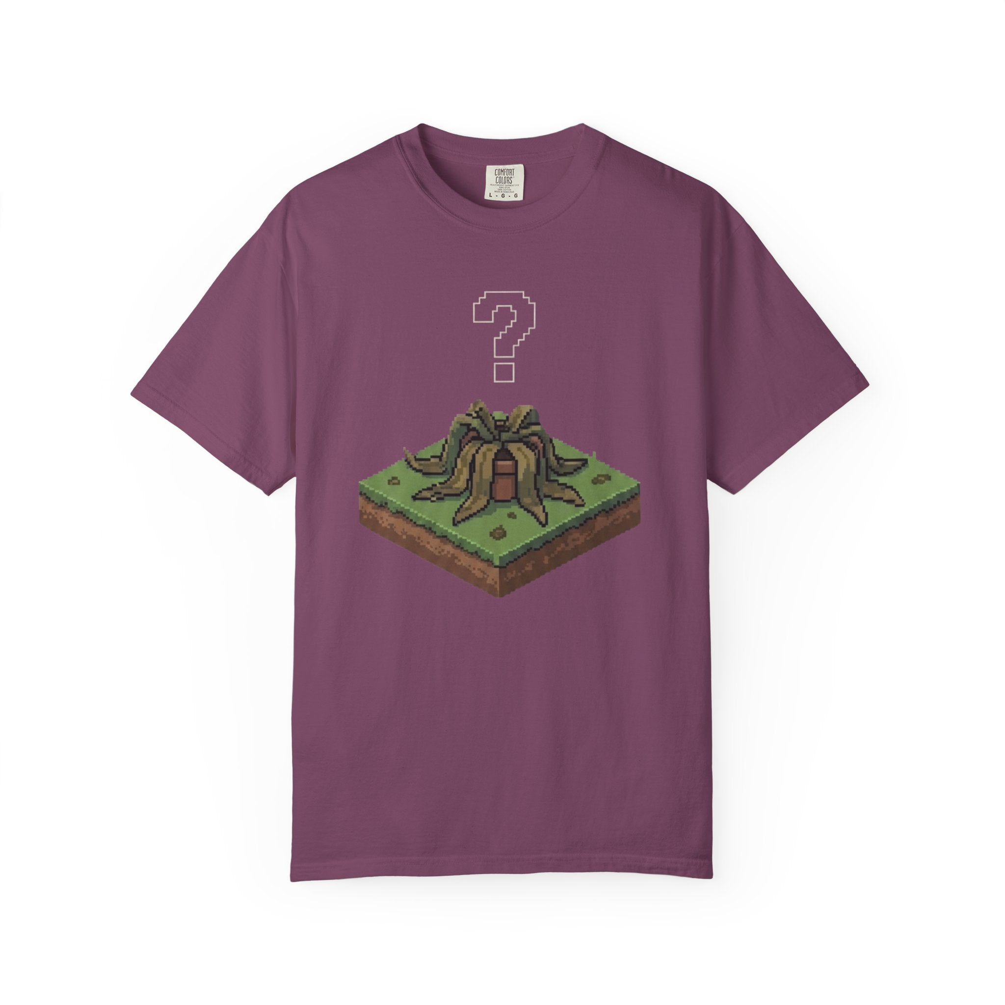 ????  T-shirt